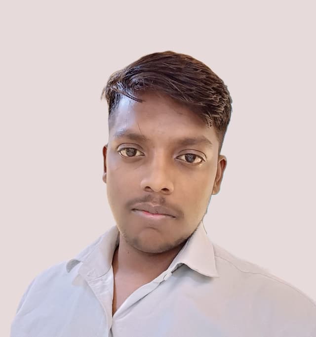 Ankit Singh - Lead Developers